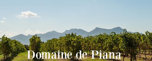 Clubs vacances en corse : où réserver en dernière minute sans se ruiner ?
