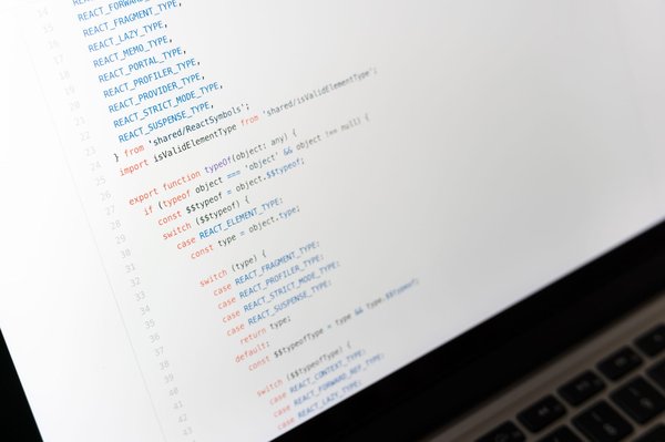 Le cépage de Sciaccarellu